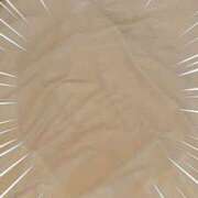 ヒメ日記 2025/04/20 13:42 投稿 つくし モアグループ神栖人妻花壇