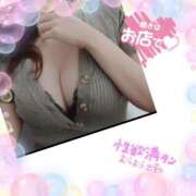 ヒメ日記 2025/06/14 09:35 投稿 つくし モアグループ神栖人妻花壇