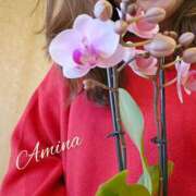 ヒメ日記 2025/02/04 12:44 投稿 あみな 奥鉄オクテツ神奈川店（デリヘル市場グループ）