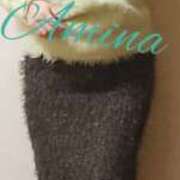 あみな 梅のつぼみ 奥鉄オクテツ神奈川店（デリヘル市場グループ）