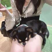 ヒメ日記 2025/05/17 20:14 投稿 ぷる Vivienne池袋西口店