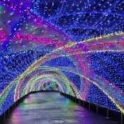 ヒメ日記 2024/12/10 17:45 投稿 はな 所沢デリヘル桜