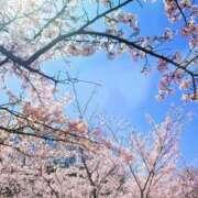 ヒメ日記 2025/03/24 17:41 投稿 はな 所沢デリヘル桜