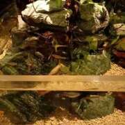 ヒメ日記 2024/12/27 18:22 投稿 りょうこ 熟女の風俗最終章 池袋店