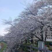 ヒメ日記 2025/03/30 17:22 投稿 りょうこ 熟女の風俗最終章 池袋店