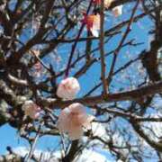 ヒメ日記 2025/04/04 15:53 投稿 りょうこ 熟女の風俗最終章 池袋店