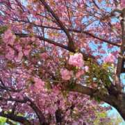 ヒメ日記 2025/04/16 15:52 投稿 りょうこ 熟女の風俗最終章 池袋店