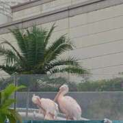 ヒメ日記 2025/05/26 16:23 投稿 りょうこ 熟女の風俗最終章 池袋店