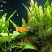 ヒメ日記 2025/06/05 15:12 投稿 りょうこ 熟女の風俗最終章 池袋店