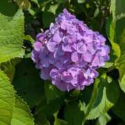 ヒメ日記 2025/06/22 09:33 投稿 りょうこ 熟女の風俗最終章 池袋店