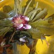 ヒメ日記 2025/06/29 14:32 投稿 りょうこ 熟女の風俗最終章 池袋店