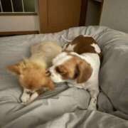 ヒメ日記 2026/02/19 13:12 投稿 ティアラ スピードエコ難波店