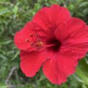 ヒメ日記 2026/02/20 11:02 投稿 ティアラ スピードエコ難波店