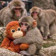 ヒメ日記 2026/03/08 15:42 投稿 ティアラ スピードエコ難波店