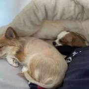 ヒメ日記 2026/03/09 13:22 投稿 ティアラ スピードエコ難波店