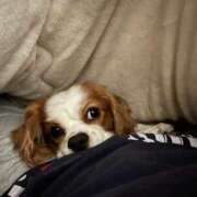 ヒメ日記 2026/03/14 20:02 投稿 ティアラ スピードエコ難波店