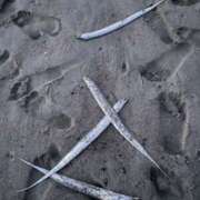 ヒメ日記 2026/03/20 15:46 投稿 ティアラ スピードエコ難波店