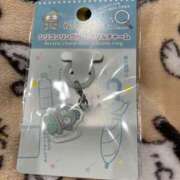 ヒメ日記 2026/03/23 09:22 投稿 ティアラ スピードエコ難波店