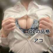 ヒメ日記 2025/07/19 06:07 投稿 アコ OLの品格 クラブアッシュ