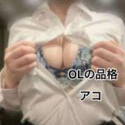 ヒメ日記 2025/08/19 17:53 投稿 アコ OLの品格 クラブアッシュ