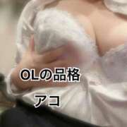 ヒメ日記 2025/11/01 18:38 投稿 アコ OLの品格 クラブアッシュ