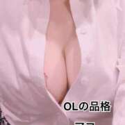 ヒメ日記 2025/11/07 16:26 投稿 アコ OLの品格 クラブアッシュ