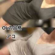 ヒメ日記 2025/11/15 22:15 投稿 アコ OLの品格 クラブアッシュ