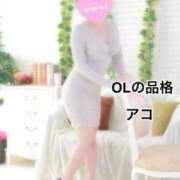 ヒメ日記 2025/12/03 08:28 投稿 アコ OLの品格 クラブアッシュ