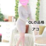 ヒメ日記 2025/12/19 14:29 投稿 アコ OLの品格 クラブアッシュ