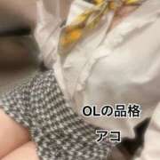 ヒメ日記 2025/12/28 12:27 投稿 アコ OLの品格 クラブアッシュ