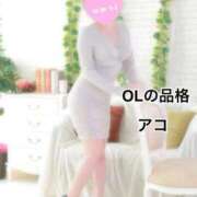 ヒメ日記 2026/03/06 11:23 投稿 アコ OLの品格 クラブアッシュ