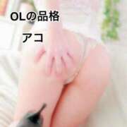 ヒメ日記 2026/03/11 14:12 投稿 アコ OLの品格 クラブアッシュ