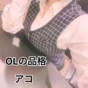 ヒメ日記 2026/03/15 04:30 投稿 アコ OLの品格 クラブアッシュ