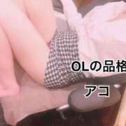 ヒメ日記 2026/03/16 19:55 投稿 アコ OLの品格 クラブアッシュ