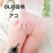 アコ ありがとう OLの品格 クラブアッシュ