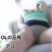 ヒメ日記 2026/04/23 17:03 投稿 アコ OLの品格 クラブアッシュ