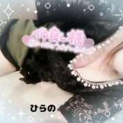 ヒメ日記 2024/12/28 02:00 投稿 平野 錦糸町おかあさん