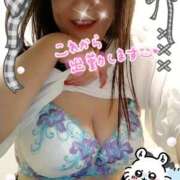 ヒメ日記 2025/10/12 12:20 投稿 平野 錦糸町おかあさん