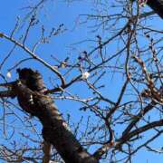 ヒメ日記 2026/03/24 07:58 投稿 ひかる 吉野ケ里人妻デリヘル 「デリ夫人」