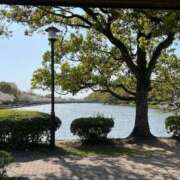 ヒメ日記 2026/04/06 08:15 投稿 ひかる 吉野ケ里人妻デリヘル 「デリ夫人」