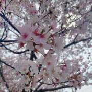 ヒメ日記 2025/01/22 23:33 投稿 ほし ぽちゃLOVE(サンライズグループ)