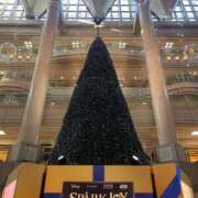 ヒメ日記 2024/12/17 10:25 投稿 かぐら 彼女の部屋本店