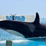 ヒメ日記 2025/08/08 10:02 投稿 かぐら 彼女の部屋本店