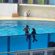 ヒメ日記 2025/08/05 19:36 投稿 にいな 川崎・東横人妻城