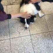 ヒメ日記 2025/09/22 13:16 投稿 にいな 川崎・東横人妻城