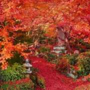 ヒメ日記 2025/12/01 13:58 投稿 にいな 川崎・東横人妻城