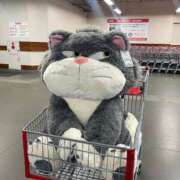 ヒメ日記 2026/01/10 16:27 投稿 にいな 川崎・東横人妻城