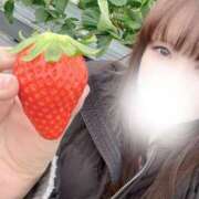 ヒメ日記 2026/01/14 10:16 投稿 にいな 川崎・東横人妻城