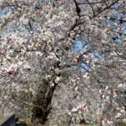 ヒメ日記 2025/04/07 17:39 投稿 ゆみこ 完熟ばなな 谷九店