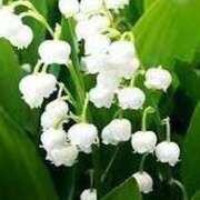 ヒメ日記 2025/05/21 11:59 投稿 ゆみこ 完熟ばなな 谷九店